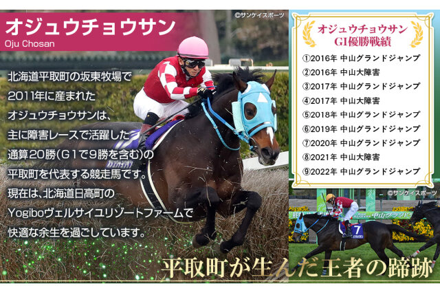 ふるさと納税 「【オジュウチョウサン】ちぃぐるみ 絶対王者バージョン