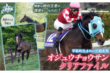 【オジュウチョウサン】クリアファイル（写真）5枚入り BRTV019