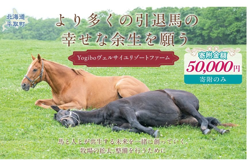 【5万円コース 返礼品無し】Yogiboヴェルサイユリゾートファーム BRTV024-04