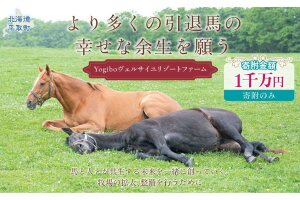 【1000万円コース 返礼品無し】Yogiboヴェルサイユリゾートファーム BRTV024-07