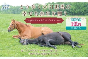 【1億円コース 返礼品無し】Yogiboヴェルサイユリゾートファーム BRTV024-08