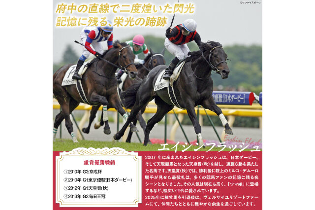 【期限切れ単勝馬券】　日本ダービー　2010 エイシンフラッシュ　ウマ娘 期限切れ単勝馬券】 日本ダービー 2010 ヴィクトワールピサ ウマ娘