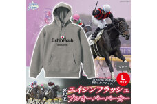 【エイシンフラッシュ】(グレー）プルオーバーパーカー裏起毛_Lサイズ BRTV027-3