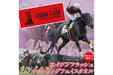 【エイシンフラッシュ】シャーリングフェイスタオル BRTV032