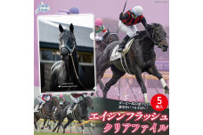 【エイシンフラッシュ】クリアファイル5枚入り BRTV033