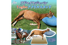 【アドマイヤジャパン×Yogibo】Yogiboアクリルスタンド BRTV043