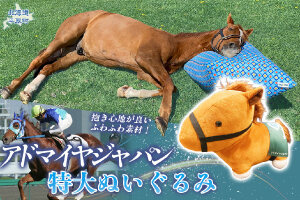 【アドマイヤジャパン×Yogibo】特大ぬいぐるみ BRTV044