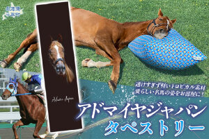 【アドマイヤジャパン×Yogibo】タペストリー BRTV045