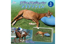 【アドマイヤジャパン×Yogibo】クリアファイル5枚入り BRTV046