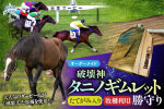 【御守り】破壊神タニノギムレットたてがみ入り牧柵利用勝守り BRTV100