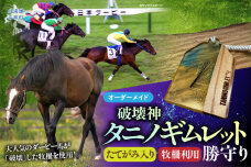 【御守り】破壊神タニノギムレットたてがみ入り牧柵利用勝守り BRTV100