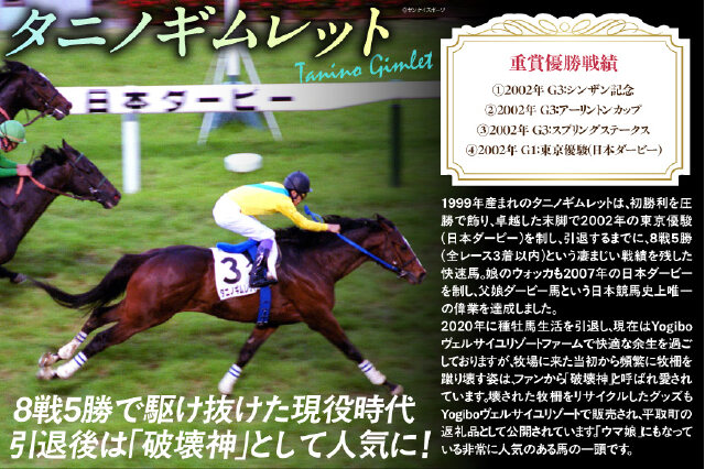 ふるさと納税 「【破壊神タニノギムレット】牧柵利用iPhoneケース