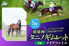 【破壊神タニノギムレット】クリアファイル5枚入り BRTV112
