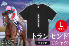 【トランセンド】Ｔシャツ 選べる４サイズ【L】 BRTV150-3