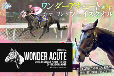 【ワンダーアキュート画伯】シャーリングフェイスタオル BRTV205