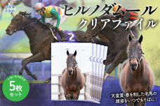 【ヒルノダムール】クリアファイル 写真5枚入り BRTV303