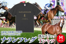 【ナランフレグ】（燻みブラック）Ｔシャツ 選べる３サイズ【М】 BRTV350-1