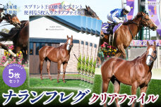 【ナランフレグ】クリアファイル5枚入り BRTV354