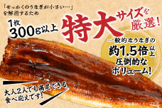 【特大うなぎ蒲焼】老舗寿司屋の職人仕込み 300g×4枚 BRTAD001-2
