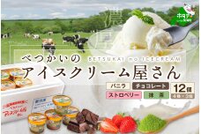 アイスクリーム12個(120ml×12）（A-07）【BN1000014】