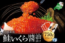漁協から直送！いくら醤油漬け 750g！【NK0003NQ7】