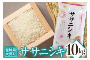 令和6年産 ササニシキ 10kg｜2024年 宮城産 大郷町 白米 米 コメ 精米 [0209]