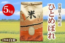 《令和6年産》宮城県 大郷町産 1等米 ひとめぼれ 白米 5kg×1袋 [0224]