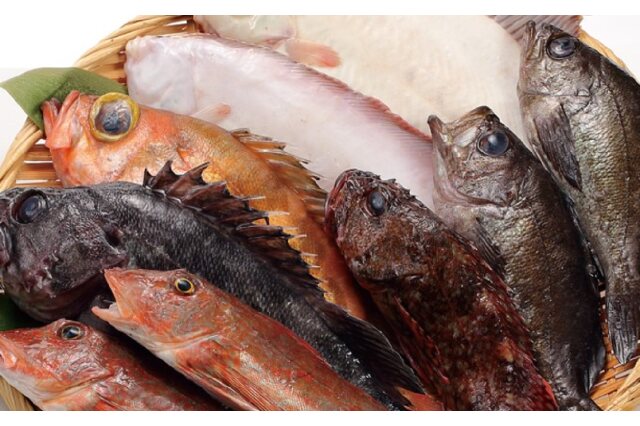 ふるさと納税 男鹿船川港直送おまかせ旬の地魚セット 大 秋田県男鹿市 ふるさと納税の ふるさとぷらす