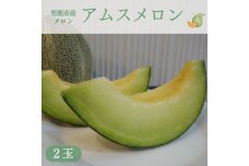 R7年度産 先行予約 メロン2玉（アムス）　秋田県 男鹿市