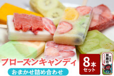 フローズンキャンディ おまかせ詰め合わせ ８本セット ゴンタロー|10148