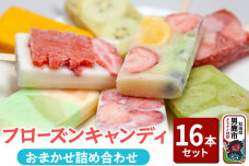 フローズンキャンディ おまかせ詰め合わせ 16本セット ゴンタロー|10149