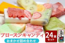 フローズンキャンディ おまかせ詰め合わせ 24本セット ゴンタロー|10150