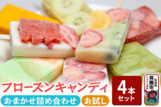 フローズンキャンディ おまかせ 4本 お試しセット ゴンタロー 秋田県 男鹿市 ゴンタ…|10153