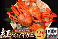 男鹿沖産紅ズワイガニ 550g 前後×2杯 男鹿なび 蟹 カニ 国産 秋田 ずわい蟹 …|10060