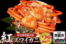 男鹿沖産紅ズワイガニ 600g 前後×2杯 男鹿なび 蟹 カニ 国産 秋田 ずわい蟹 …|10062