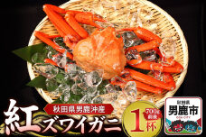 男鹿沖産紅ズワイガニ 700g 前後×1杯 男鹿なび 蟹 カニ 国産 秋田 ずわい蟹 …|10064