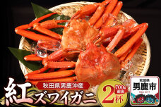 男鹿沖産紅ズワイガニ 700g 前後×2杯 男鹿なび 蟹 カニ 国産 秋田 ずわい蟹 …|10065