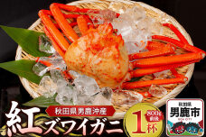 男鹿沖産紅ズワイガニ 800g 前後×1杯 男鹿なび 蟹 カニ 国産 秋田 ずわい蟹 …|10067