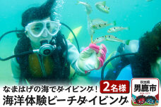 【なまはげの海でダイビング！！】 海洋体験ビーチダイビング 2名様 秋田県 男鹿半島 …|10199