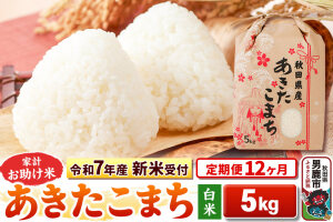 《令和7年産 新米受付》《定期便12ヶ月》【白米】家計お助け米 あきたこまち 5kg|10716