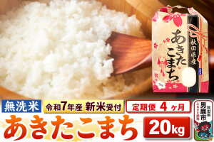 《令和7年産 新米受付》《定期便4ヶ月》【無洗米】秋田県産 あきたこまち 20kg（5…|10774