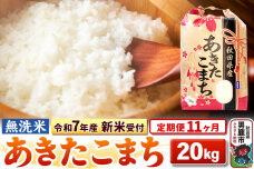 《令和7年産 新米受付》《定期便11ヶ月》【無洗米】秋田県産 あきたこまち 20kg（…|10781