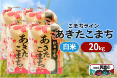 令和6年産【白米】秋田県産 あきたこまち 20kg（5kg×4袋）秋田県 男鹿市 こま…|10288