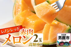 R7年度産 先行受付 メロン2玉（レノンレッド） 秋田県 男鹿市|10318