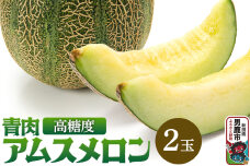 R7年度産 先行受付 メロン2玉（アムス） 秋田県 男鹿市|10320