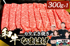 和牛なまはげ カタすきやき 300g 大進農場|10895