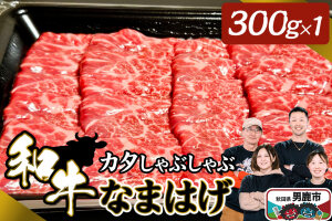和牛なまはげ カタしゃぶしゃぶ 300g 大進農場 [牛肉 和牛 赤身 お肉 生肉 肉…|10896