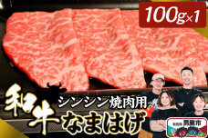 和牛なまはげ シンシン焼肉用 100g 大進農場|10902