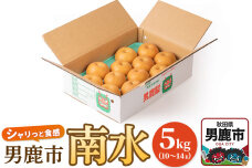 【令和7年度 早期受付】南水 5kg 10玉〜14玉 梨 なし ナシ 秋田県 男鹿市 …|10197