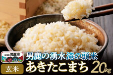 ＜新米受付＞令和7年産 あきたこまち 玄米 男鹿の湧水 滝の頭米 20kg 秋田県 男…|10276